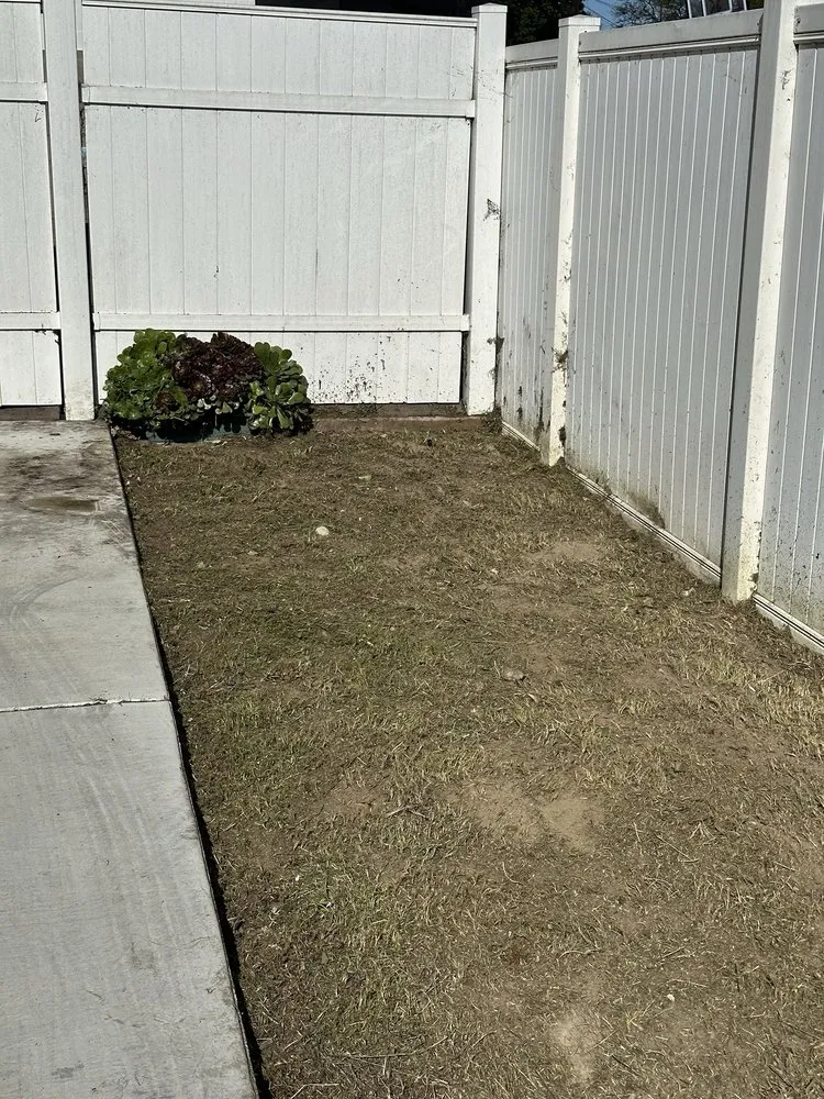 Reliable lawn mowing service in Huntington Beach, CA - Evolution Landscaping and Plumbing