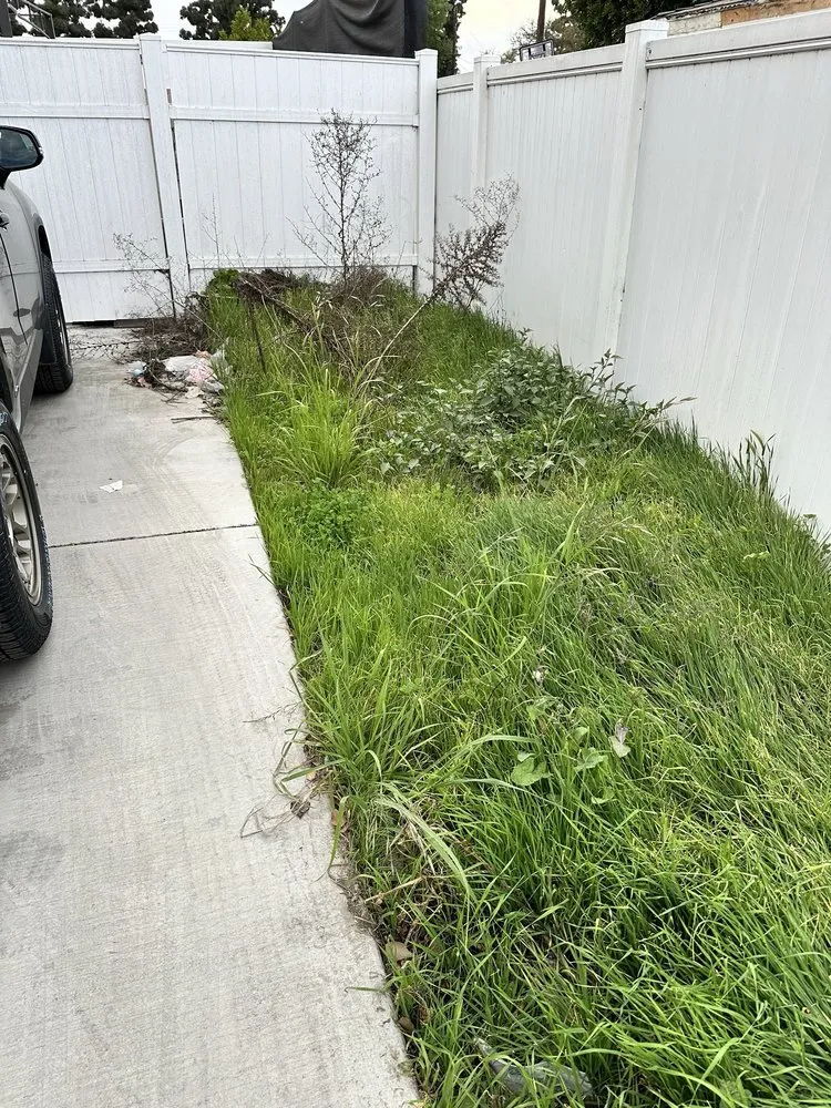 Affordable lawn mowing service in Huntington Beach, CA by Evolution Landscaping and Plumbing