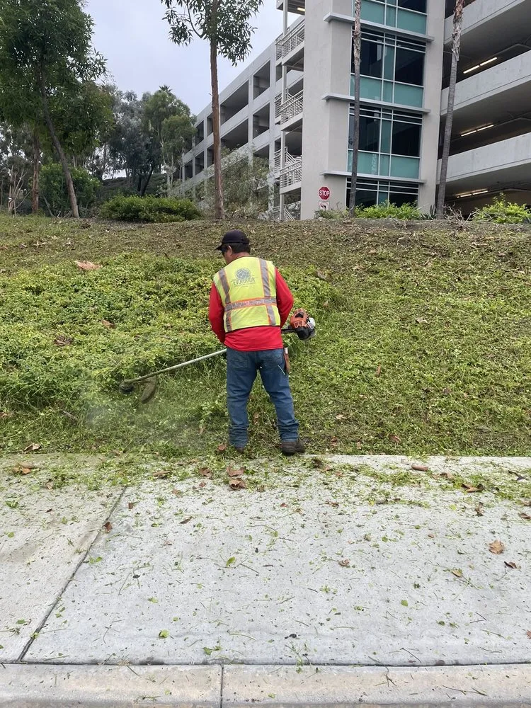 Top-rated garden landscaping with custom design in Huntington Beach, CA by Evolution Landscaping and Plumbing
