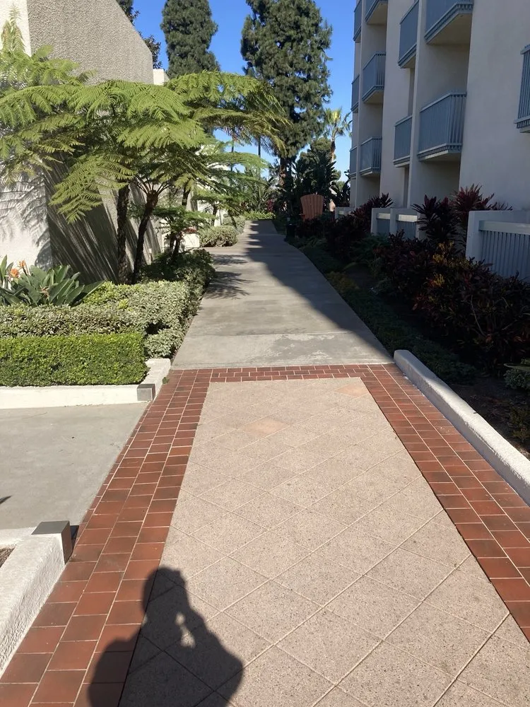 Custom yard maintenance in Huntington Beach, CA - Evolution Landscaping and Plumbing