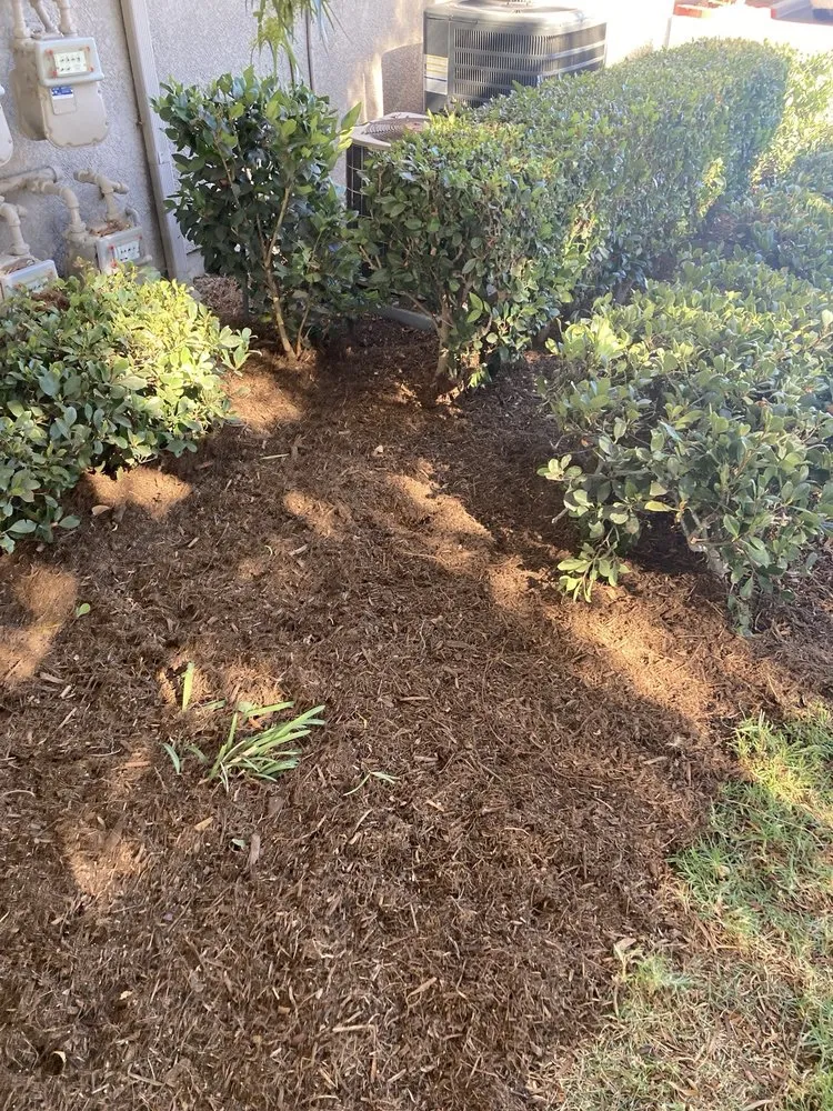 Reliable garden landscaping experts serving Huntington Beach, CA - Evolution Landscaping and Plumbing