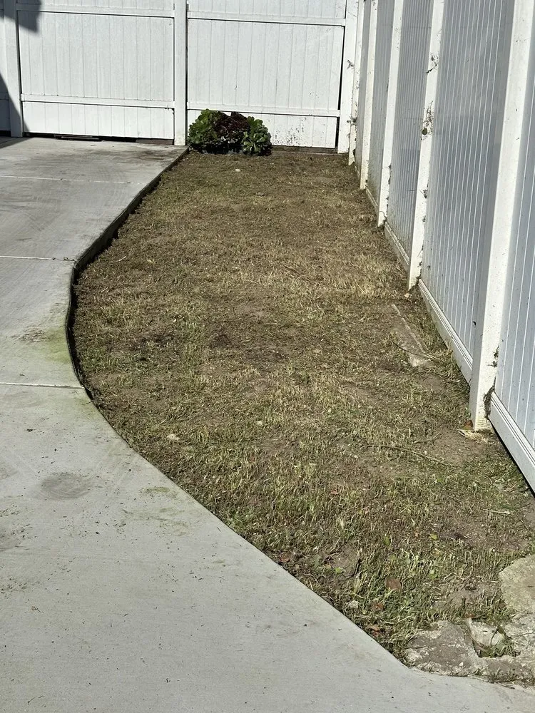 Expert landscape design with custom design in Huntington Beach, CA by Evolution Landscaping and Plumbing