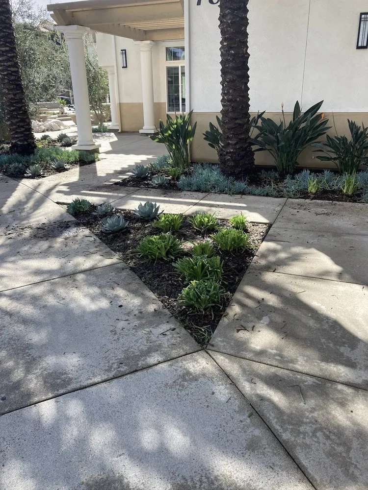 Top-rated outdoor landscaping for beautiful yards across Huntington Beach, CA - Evolution Landscaping and Plumbing