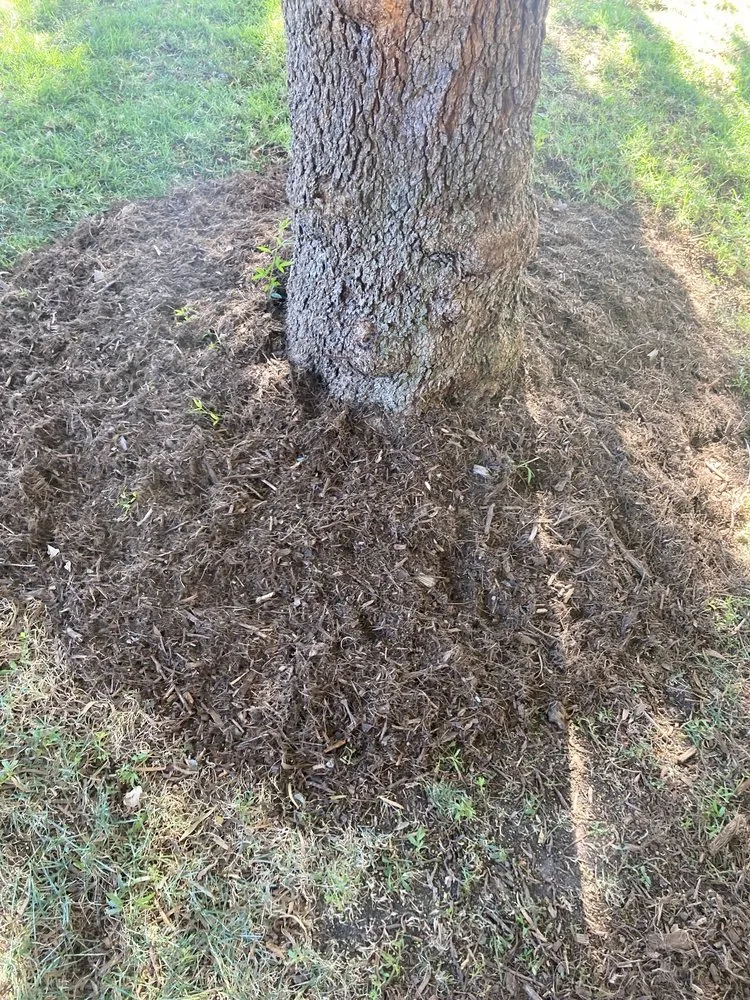 Top-rated yard maintenance experts serving Huntington Beach, CA - Evolution Landscaping and Plumbing