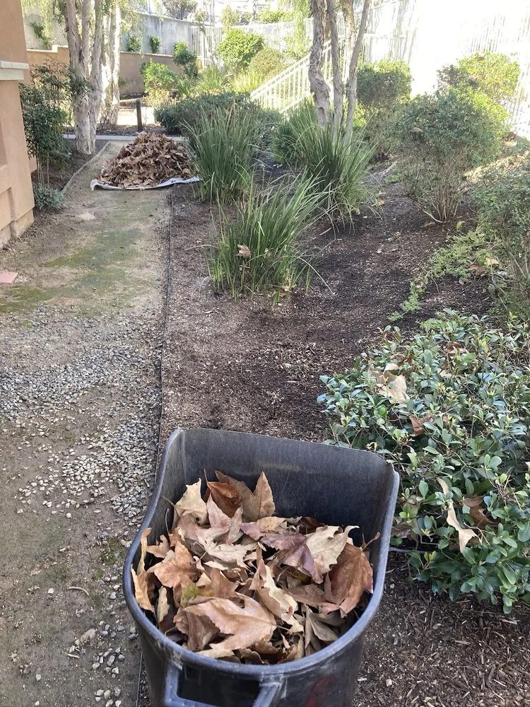 Expert landscape installation for homes in Huntington Beach, CA by Evolution Landscaping and Plumbing