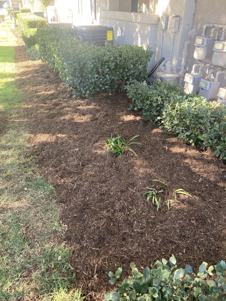 Custom landscaping services in Huntington Beach, CA - Evolution Landscaping and Plumbing