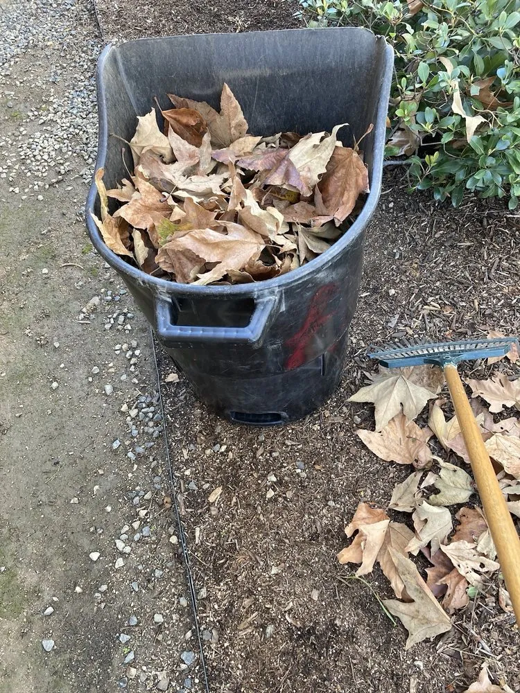 Local lawn mowing service experts serving Huntington Beach, CA - Evolution Landscaping and Plumbing