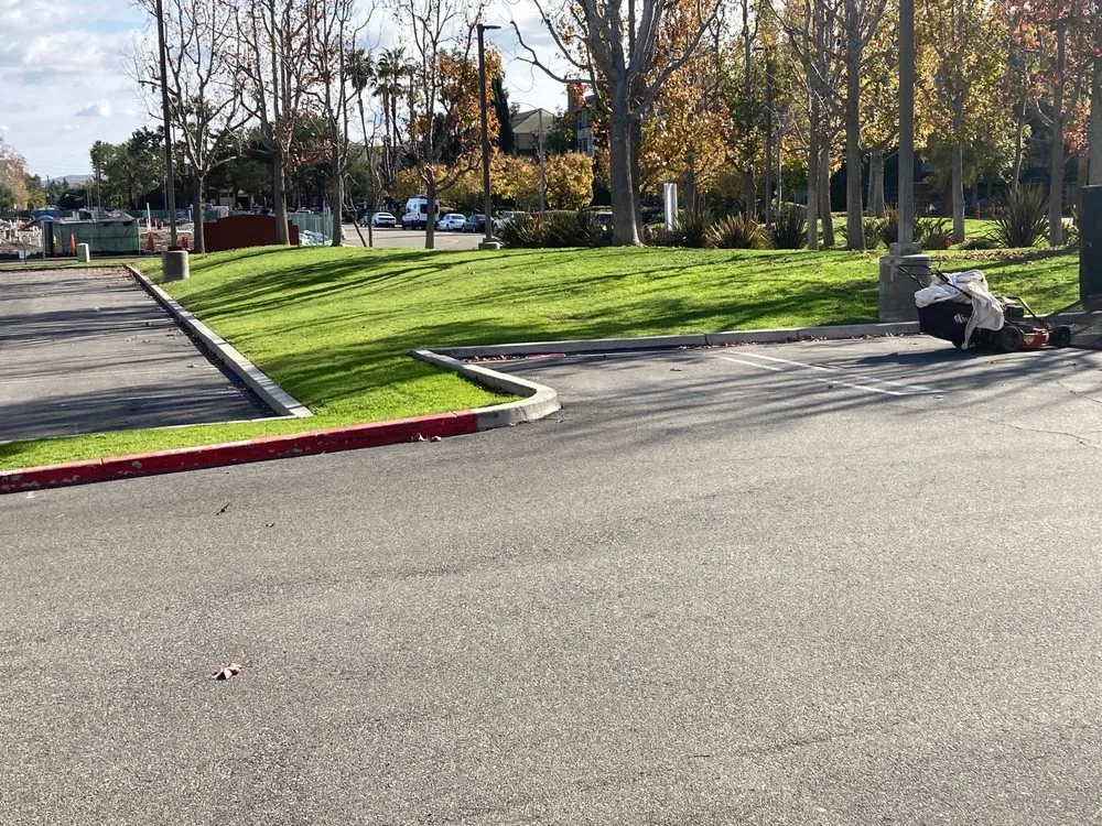 Custom yard maintenance in Huntington Beach, CA - Evolution Landscaping and Plumbing