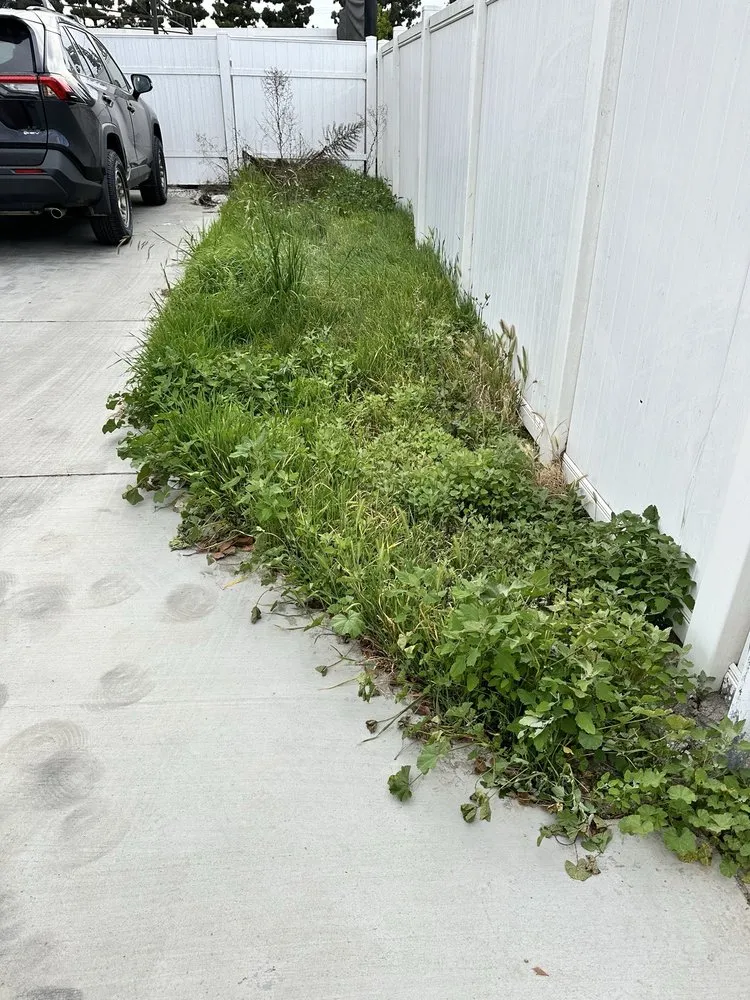 Professional outdoor landscaping for beautiful yards in Huntington Beach, CA by Evolution Landscaping and Plumbing