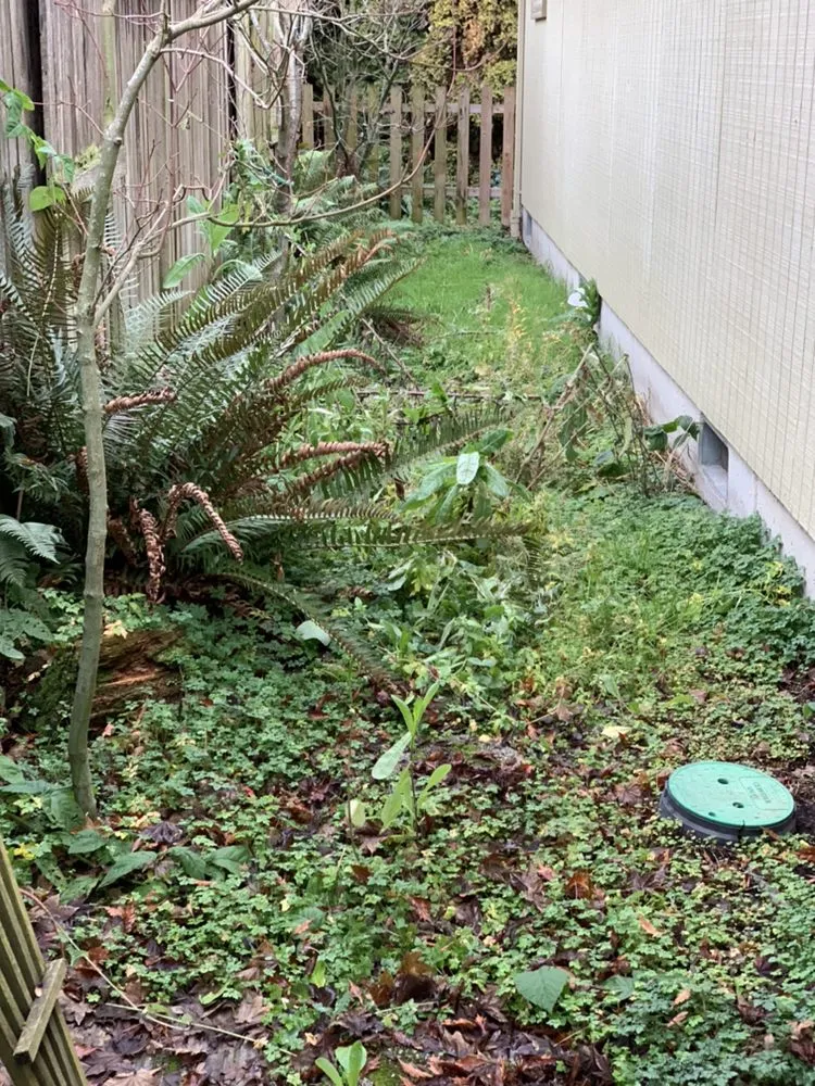 Custom garden landscaping experts serving Eugene, OR - Evolution Landscaping