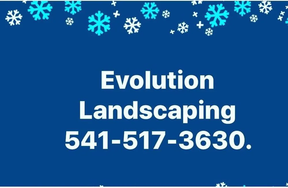 Professional yard cleanup service in Eugene, OR by Evolution Landscaping