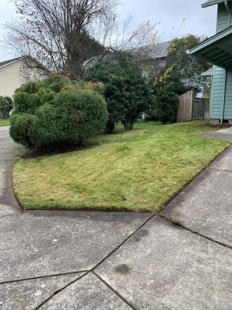 Affordable yard cleanup service experts serving Eugene, OR - Evolution Landscaping