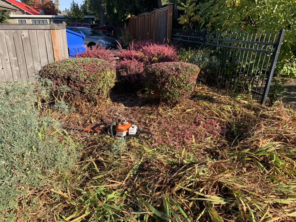 Top-rated landscape installation in Eugene, OR - Evolution Landscaping