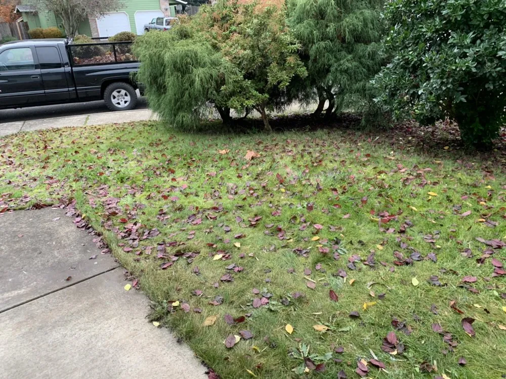 Professional landscape design for outdoor upgrades in Eugene, OR by Evolution Landscaping