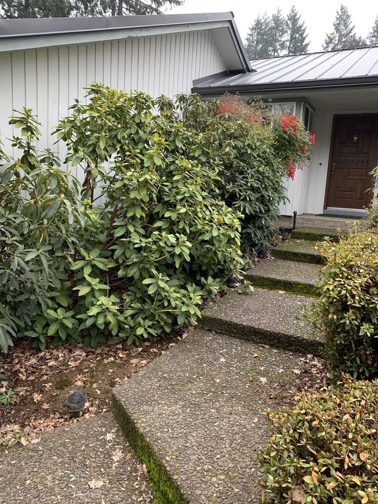 Trusted landscape installation in Eugene, OR - Evolution Landscaping