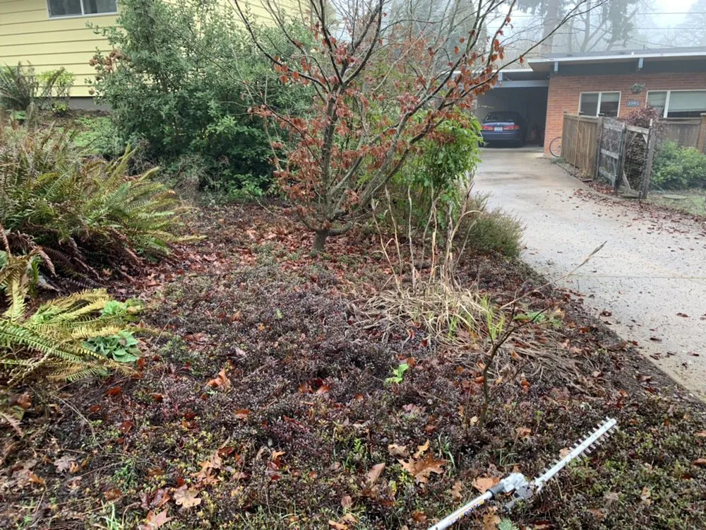 Local lawn mowing service experts serving Eugene, OR - Evolution Landscaping