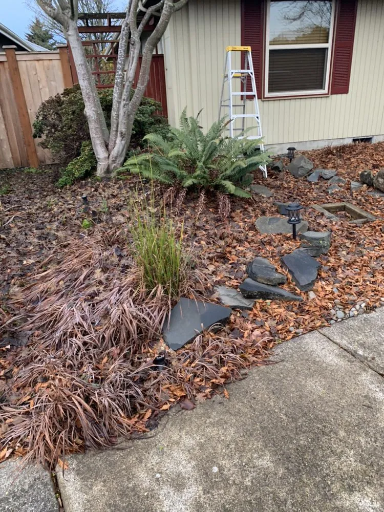 Expert garden landscaping for residential properties across Eugene, OR - Evolution Landscaping
