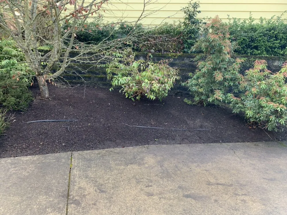 Professional outdoor landscaping with custom design in Eugene, OR by Evolution Landscaping