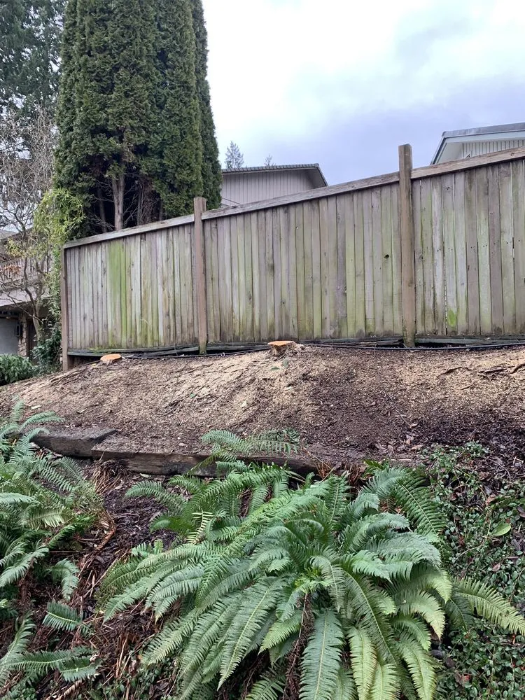 Expert yard maintenance for outdoor upgrades across Eugene, OR - Evolution Landscaping