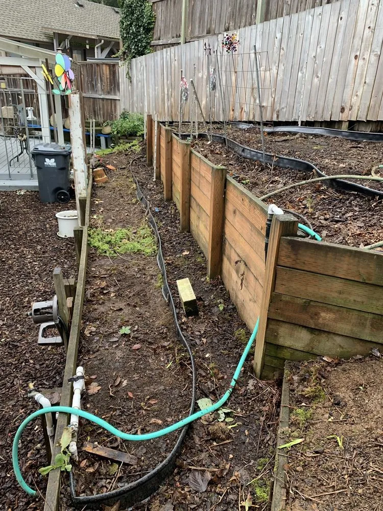 Local outdoor landscaping for beautiful yards in Eugene, OR by Evolution Landscaping