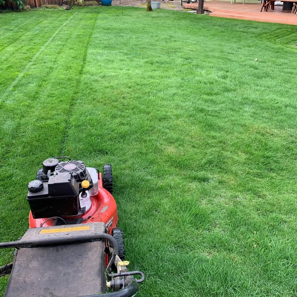 Reliable garden landscaping experts serving Eugene, OR - Evolution Landscaping