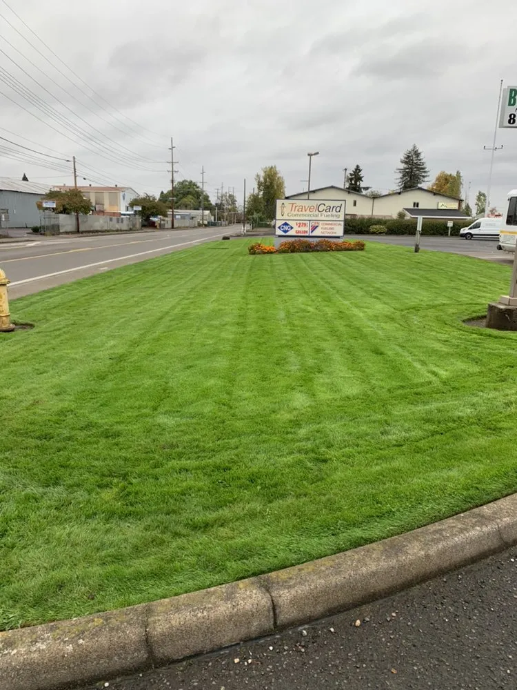 Top-rated residential landscaping experts serving Eugene, OR - Evolution Landscaping