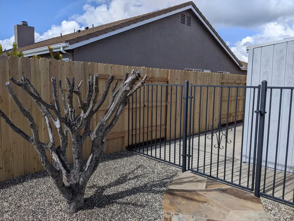 Trusted lawn care service in Lompoc, CA by Evolution Landscaping