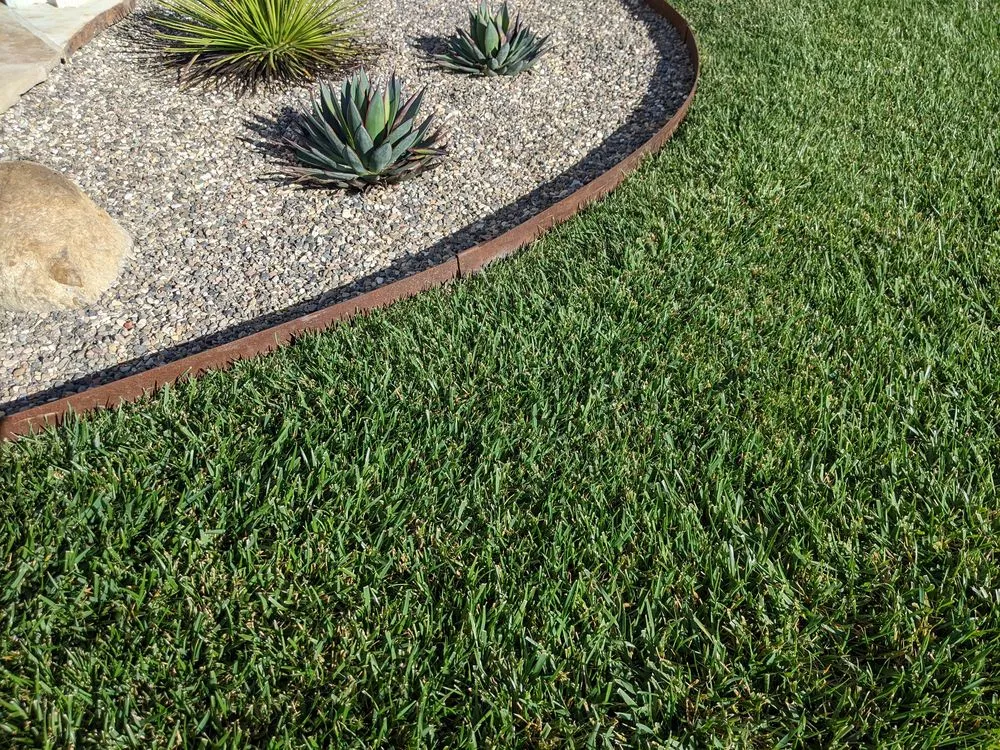 Affordable residential landscaping experts serving Lompoc, CA - Evolution Landscaping