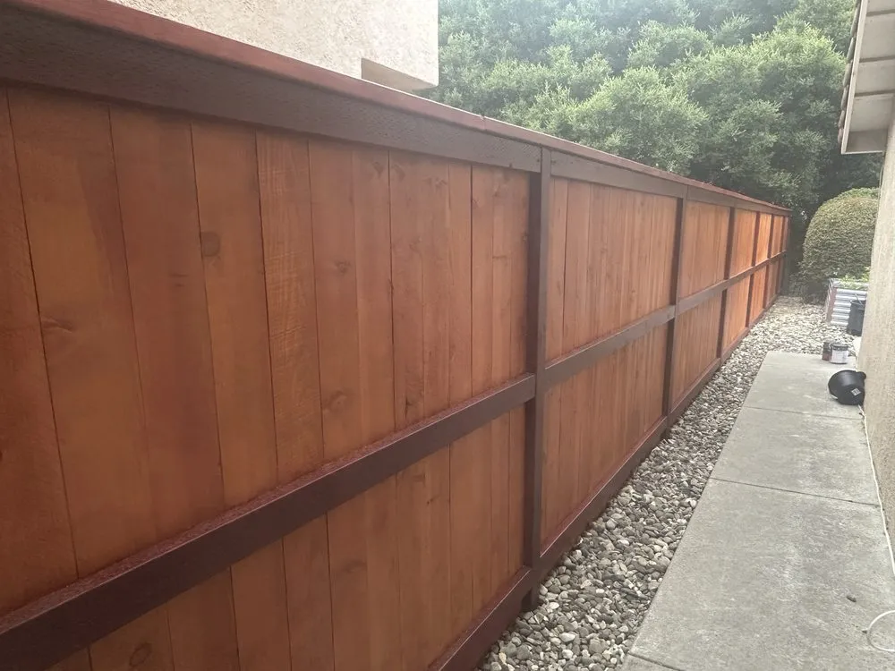 Trusted yard cleanup service for homes in Lompoc, CA by Evolution Landscaping