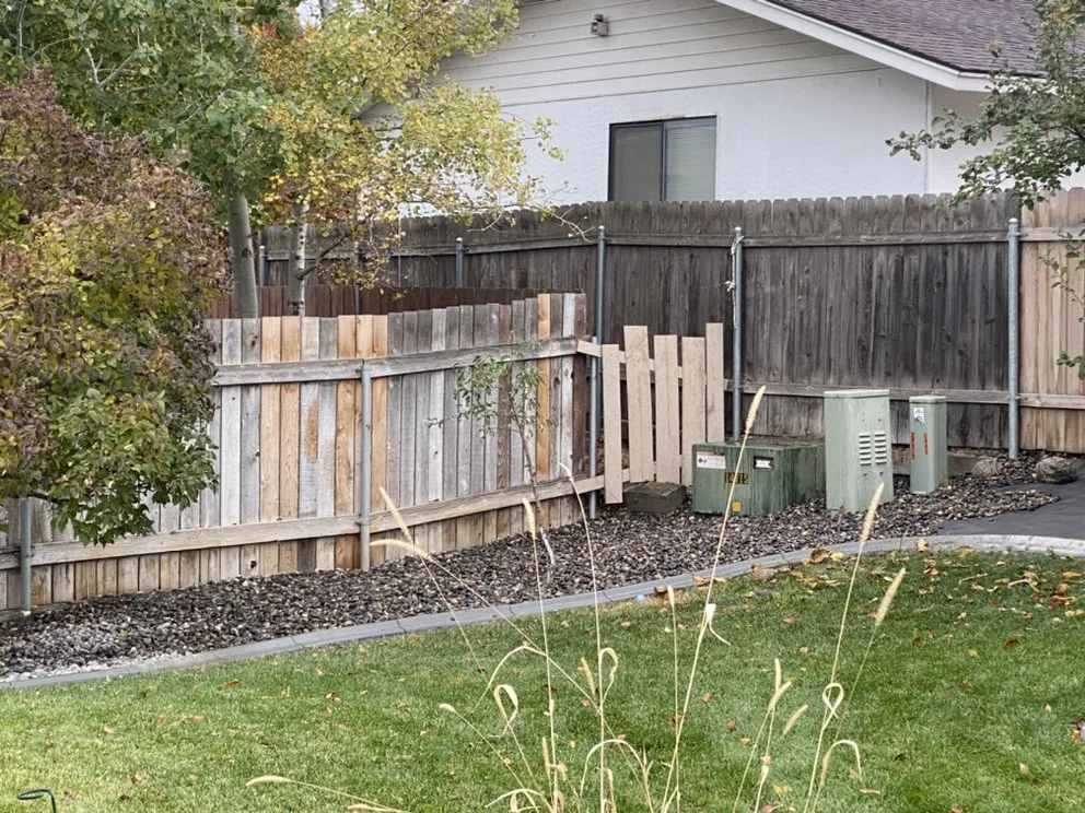 Trusted yard cleanup service in Pasco, WA by Evolution Landscaping