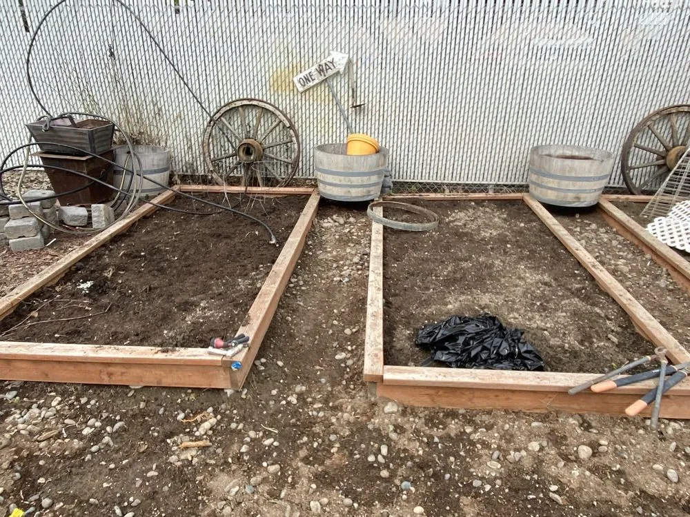 Expert lawn mowing service for beautiful yards in Pasco, WA by Evolution Landscaping