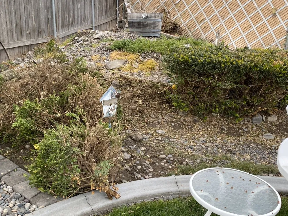 Top-rated yard cleanup service in Pasco, WA by Evolution Landscaping