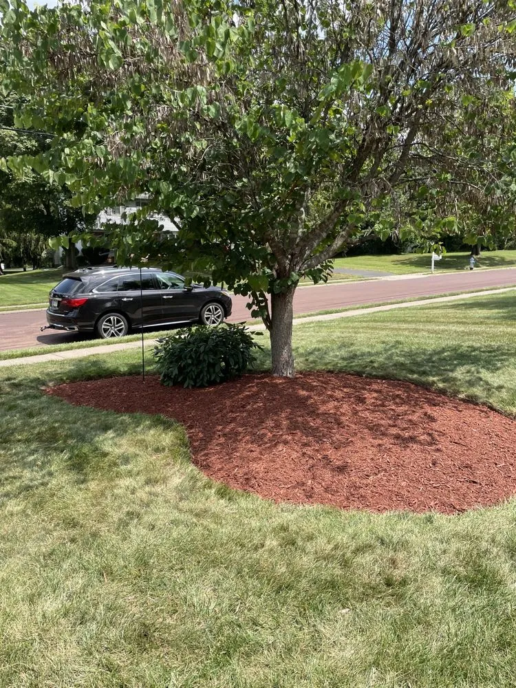 Professional landscape design experts serving Chalfont, PA - Evolution Lawn & Landscape LLC