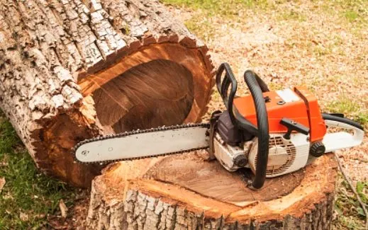 Affordable outdoor landscaping in Anderson, SC - Evolution Lawn Care