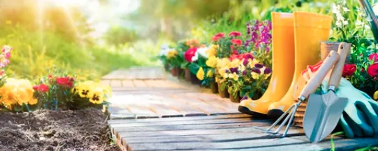 Custom lawn care service for beautiful yards in Anderson, SC by Evolution Lawn Care