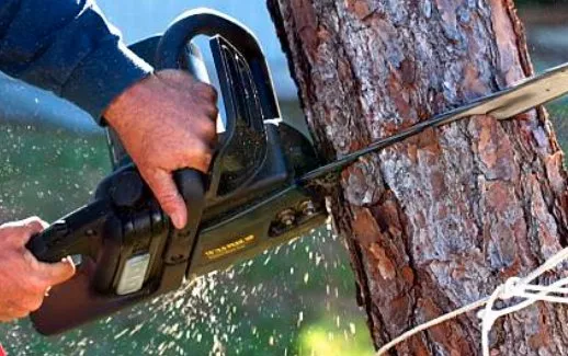 Reliable landscape design for outdoor upgrades in Anderson, SC by Evolution Lawn Care