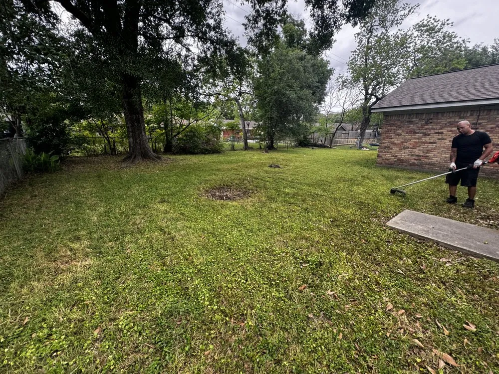 Reliable outdoor landscaping in Houston, TX - Evolution Lawn Services