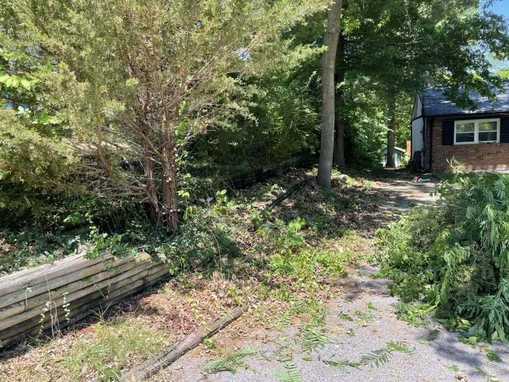 Affordable lawn mowing service experts serving Hillsboro, MO - Evolution Lawn Solutions