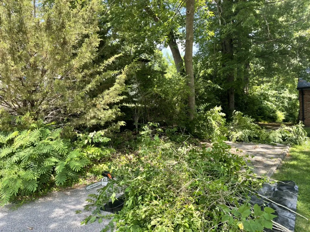 Custom lawn mowing service in Hillsboro, MO by Evolution Lawn Solutions