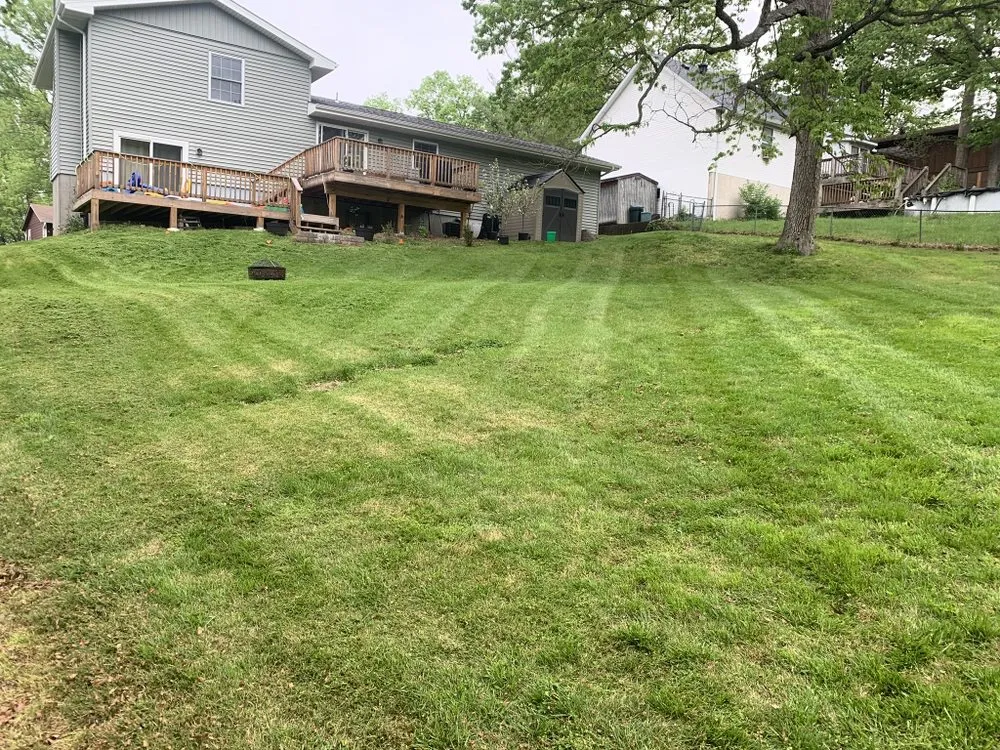 Professional yard cleanup service for beautiful yards across Hillsboro, MO - Evolution Lawn Solutions