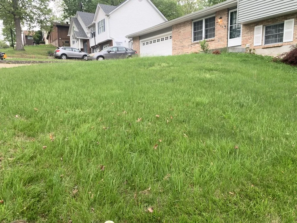 Trusted residential landscaping with custom design across Hillsboro, MO - Evolution Lawn Solutions