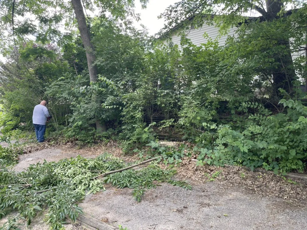 Local landscaping services for residential properties in Hillsboro, MO by Evolution Lawn Solutions