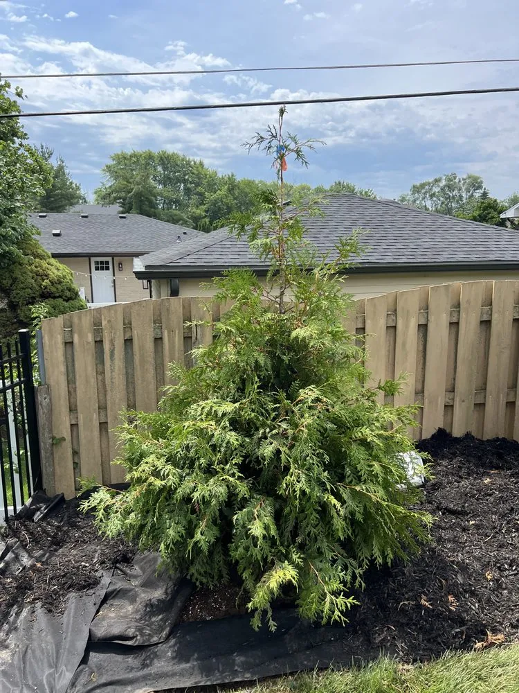 Custom outdoor landscaping in Oak Lawn, IL by Evolution Outdoor Living