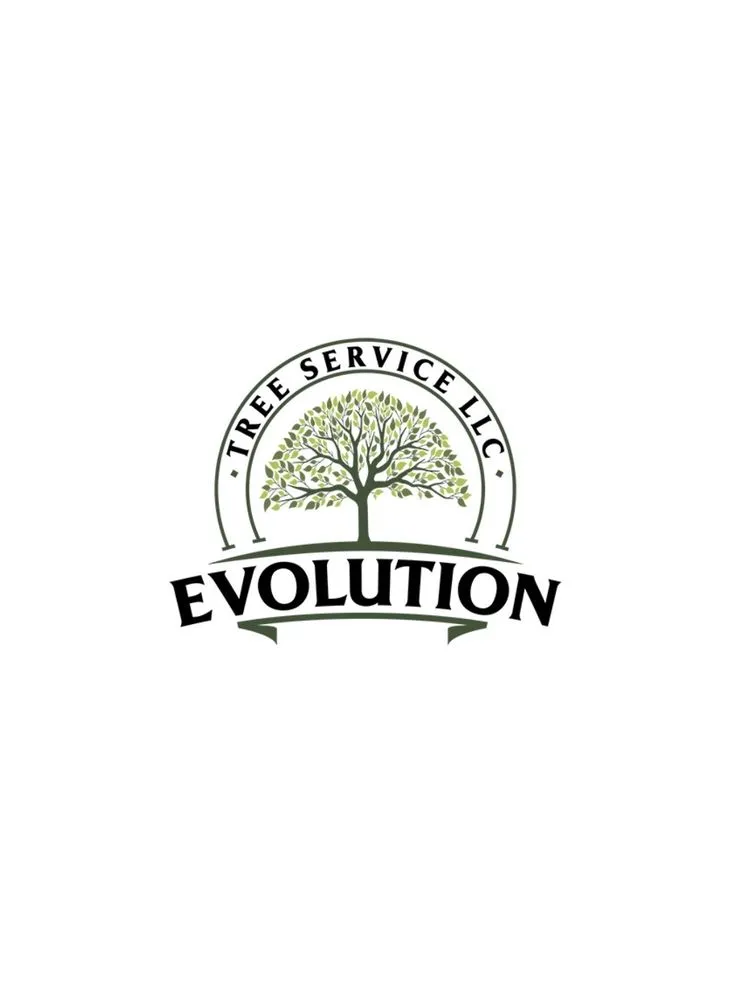 Affordable landscape installation in Woodstock, GA - Evolution Tree Service