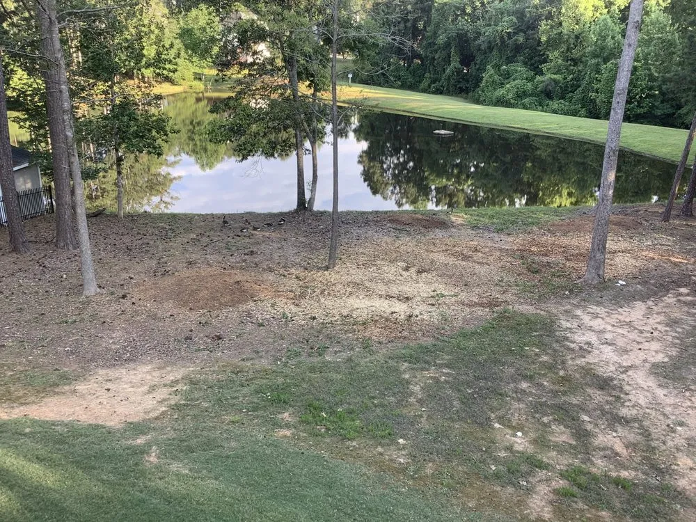 Top-rated landscape installation in Woodstock, GA - Evolution Tree Service