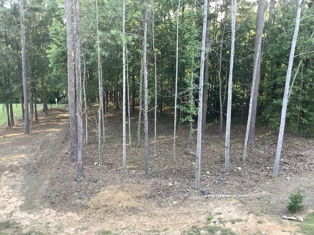 Reliable residential landscaping for beautiful yards in Woodstock, GA by Evolution Tree Service