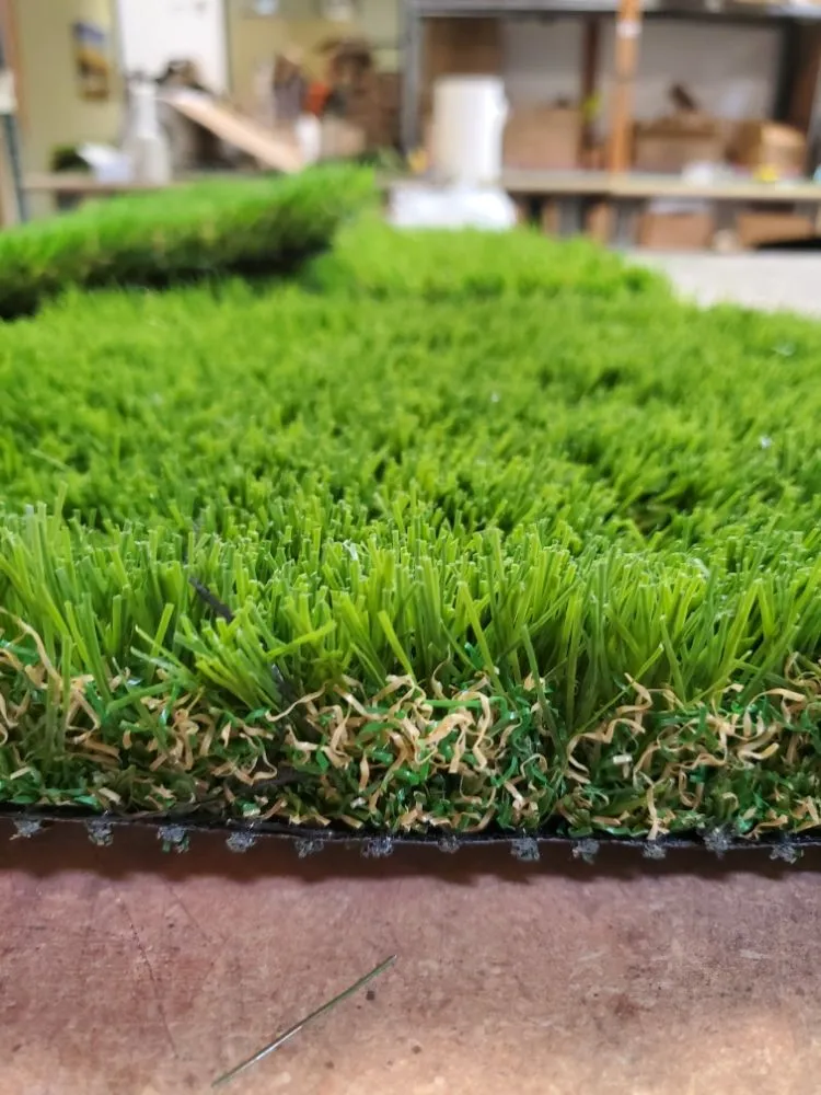 Professional lawn care service for outdoor upgrades in San Diego, CA by Evolution Turf