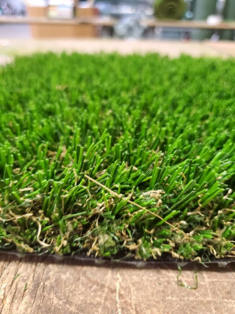 Reliable lawn care service in San Diego, CA - Evolution Turf
