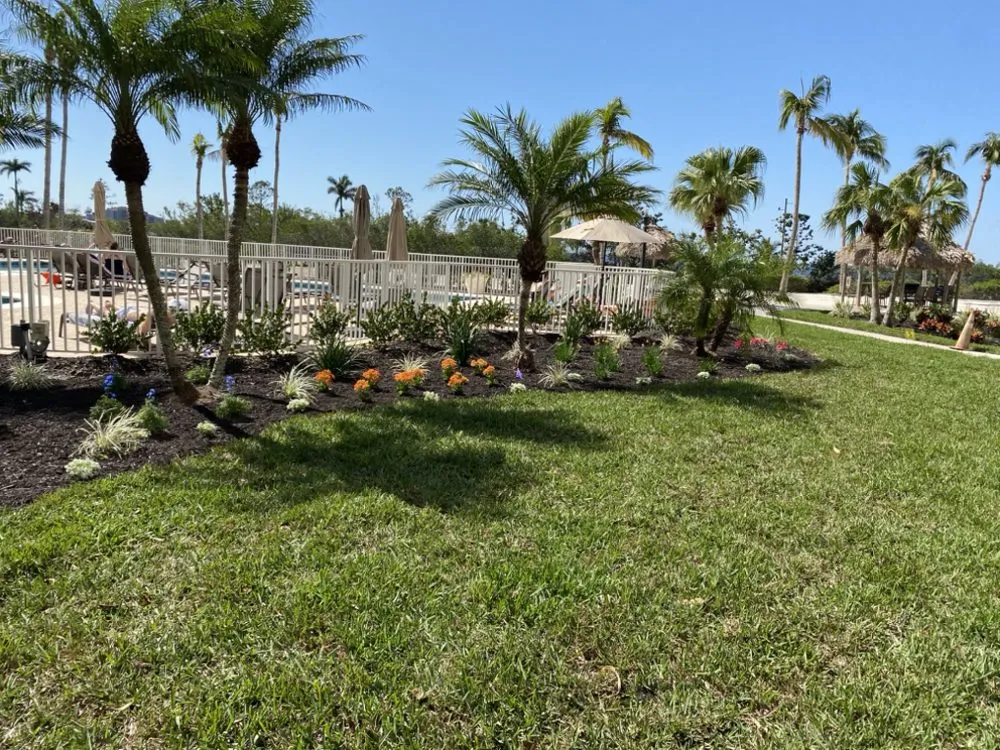 Custom outdoor landscaping in North Fort Myers, FL - Evolve Landscape
