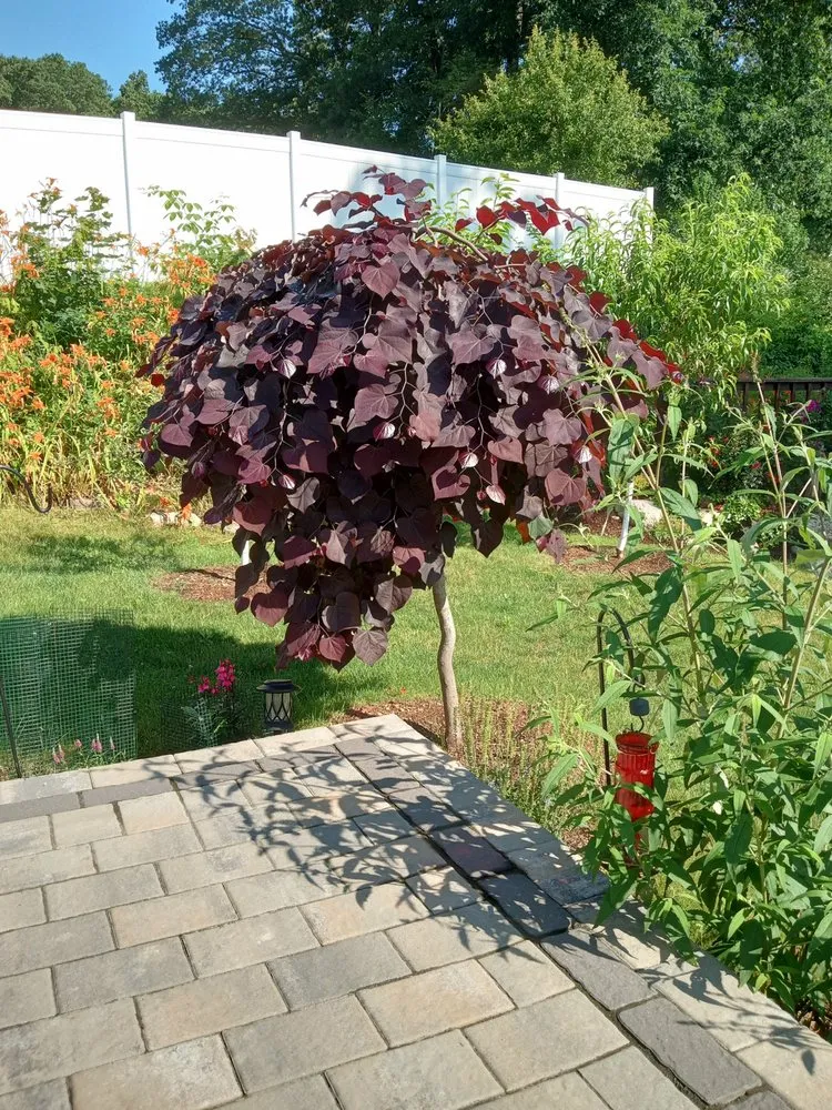 Top-rated yard maintenance near you in Leicester, MA by Evolve Landscaping